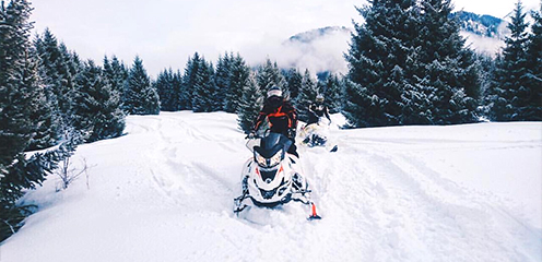 Snowmobile Experience